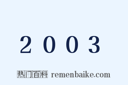2003是什么意思的图片